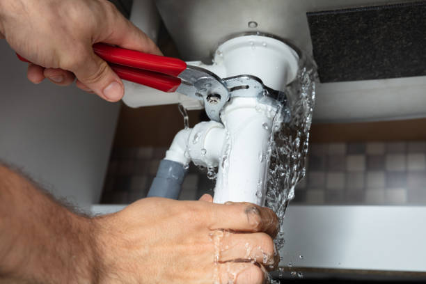 Best Flooded house restoration  in Vincent, AL