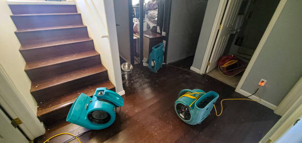 Best 24/7 water damage repair  in Vincent, AL