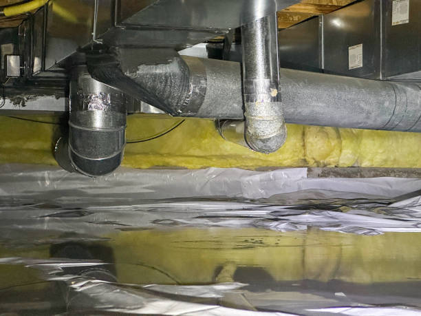 Best Basement water damage restoration  in Vincent, AL
