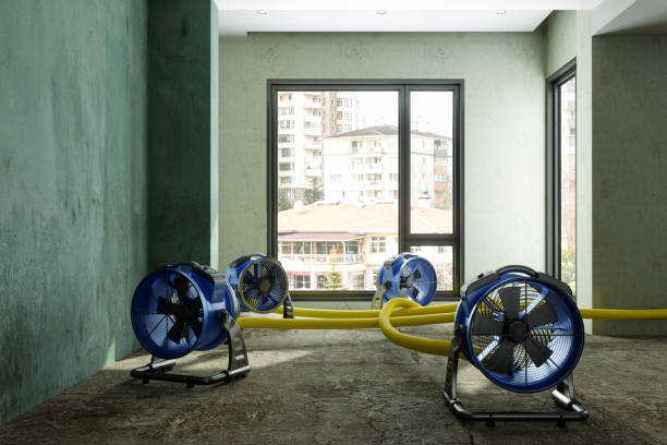 Water damage restoration insurance claims in AL